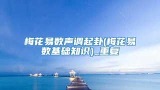 梅花易数声调起卦(梅花易数基础知识)_重复