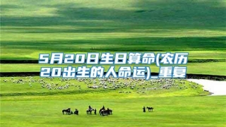 5月20日生日算命(农历20出生的人命运)_重复