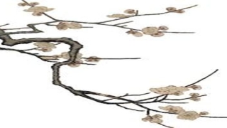 滨州算卦最厉害的(身为一个滨州人)