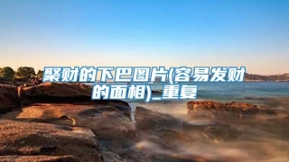 聚财的下巴图片(容易发财的面相)_重复