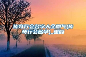 传奇行会名字大全霸气(传奇行会名字)_重复