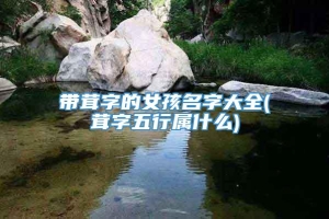 带茸字的女孩名字大全(茸字五行属什么)