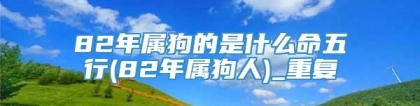 82年属狗的是什么命五行(82年属狗人)_重复