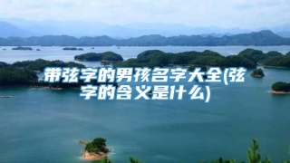 带弦字的男孩名字大全(弦字的含义是什么)