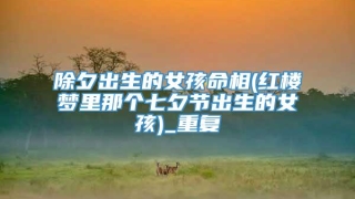 除夕出生的女孩命相(红楼梦里那个七夕节出生的女孩)_重复