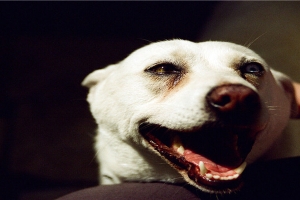 男面痣图清晰图片(能看见鼻孔的男人面相)