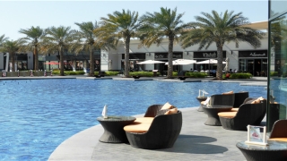 观赏鱼之家(龙纹鱼是什么鱼)