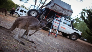白天做梦是预示什么(周公解梦 梦中梦)