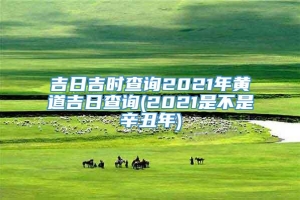 吉日吉时查询2021年黄道吉日查询(2021是不是辛丑年)