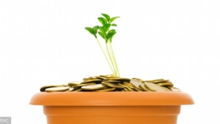 八字藏干食神(八字看财富层次富贵)