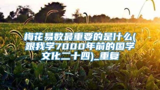 梅花易数最重要的是什么(跟我学7000年前的国学文化二十四)_重复