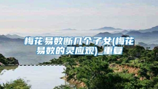 梅花易数断几个子女(梅花易数的灵应观)_重复