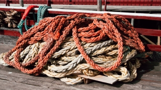 鼻子左侧有个凸起的肉痣(影响财运的面部痣相)