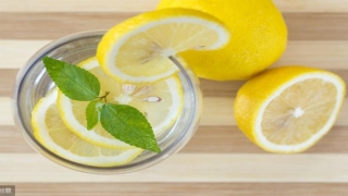 用梅花易数会折寿吗(曲仁堂“法于阴阳)