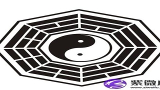 八卦五行代表的颜色(八卦五行代表生么生肖)