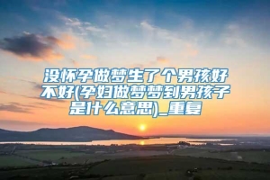 没怀孕做梦生了个男孩好不好(孕妇做梦梦到男孩子是什么意思)_重复