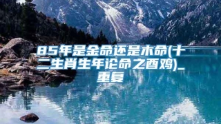 85年是金命还是木命(十二生肖生年论命之酉鸡)_重复
