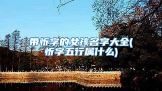带忻字的女孩名字大全(忻字五行属什么)