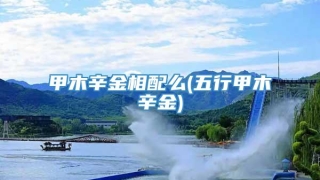 甲木辛金相配么(五行甲木辛金)