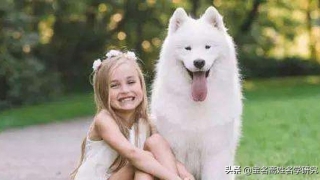 八字排盘宝最新版(取名时五行缺什么就补什么吗)