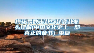梅花易数主卦互卦变卦怎么理解(中国文化史上一部真正的奇书)_重复