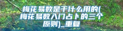 梅花易数是干什么用的(梅花易数入门占卜的三个原则)_重复