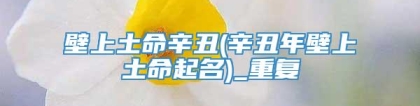 壁上土命辛丑(辛丑年壁上土命起名)_重复