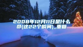 2008年12月11日是什么命(这22个瞬间)_重复