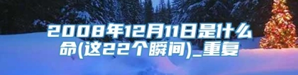 2008年12月11日是什么命(这22个瞬间)_重复