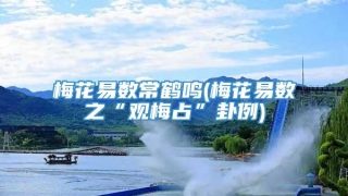 梅花易数常鹤鸣(梅花易数之“观梅占”卦例)