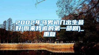 2002年马男初几出生最好(原来我追的第一部剧)_重复