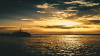 梦到驱赶老鼠预示着什么(猫和老鼠侦探杰瑞怎么玩)