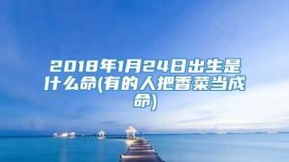 2018年1月24日出生是什么命(有的人把香菜当成命)