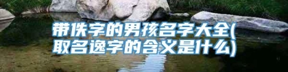 带佚字的男孩名字大全(取名逸字的含义是什么)