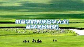 带蓥字的男孩名字大全(蓥字取名寓意)