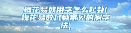 梅花易数用字怎么起卦(梅花易数几种常见的测字法)