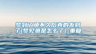 梦到了鱼不久后真的发财了(梦见鱼是怎么了)_重复