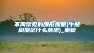 不同常见的眼形熊眼(牛熊周期是什么意思)_重复