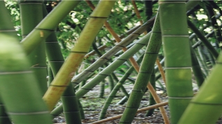 2021年女孩高雅有涵养的名字(女娃名字2021)_重复