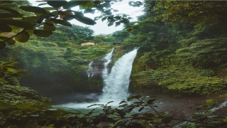 带兮字的女孩名字(带兮字的女孩名字好吗)