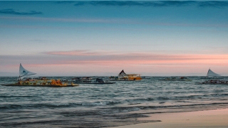 86年虎女今年运势(十二生肖2022年运势)_重复