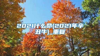 2021什么命(2021年辛丑牛)_重复