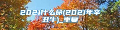 2021什么命(2021年辛丑牛)_重复