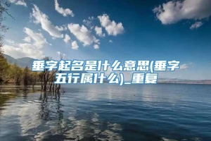 垂字起名是什么意思(垂字五行属什么)_重复