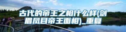 古代的帝王之相什么样(剑眉凤目帝王面相)_重复