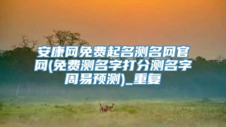 安康网免费起名测名网官网(免费测名字打分测名字周易预测)_重复