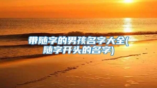 带随字的男孩名字大全(随字开头的名字)