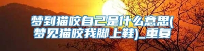梦到猫咬自己是什么意思(梦见猫咬我脚上鞋)_重复