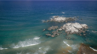 64年属龙人50岁后运气如何_重复