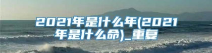 2021年是什么年(2021年是什么命)_重复